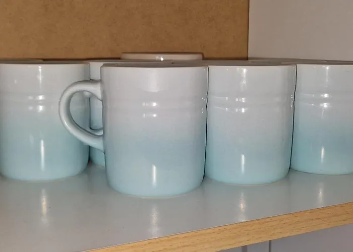 Iii Schoene In Bingen Mit Phantastischem Blick Auf Nahe, Fuer Monteure-c *